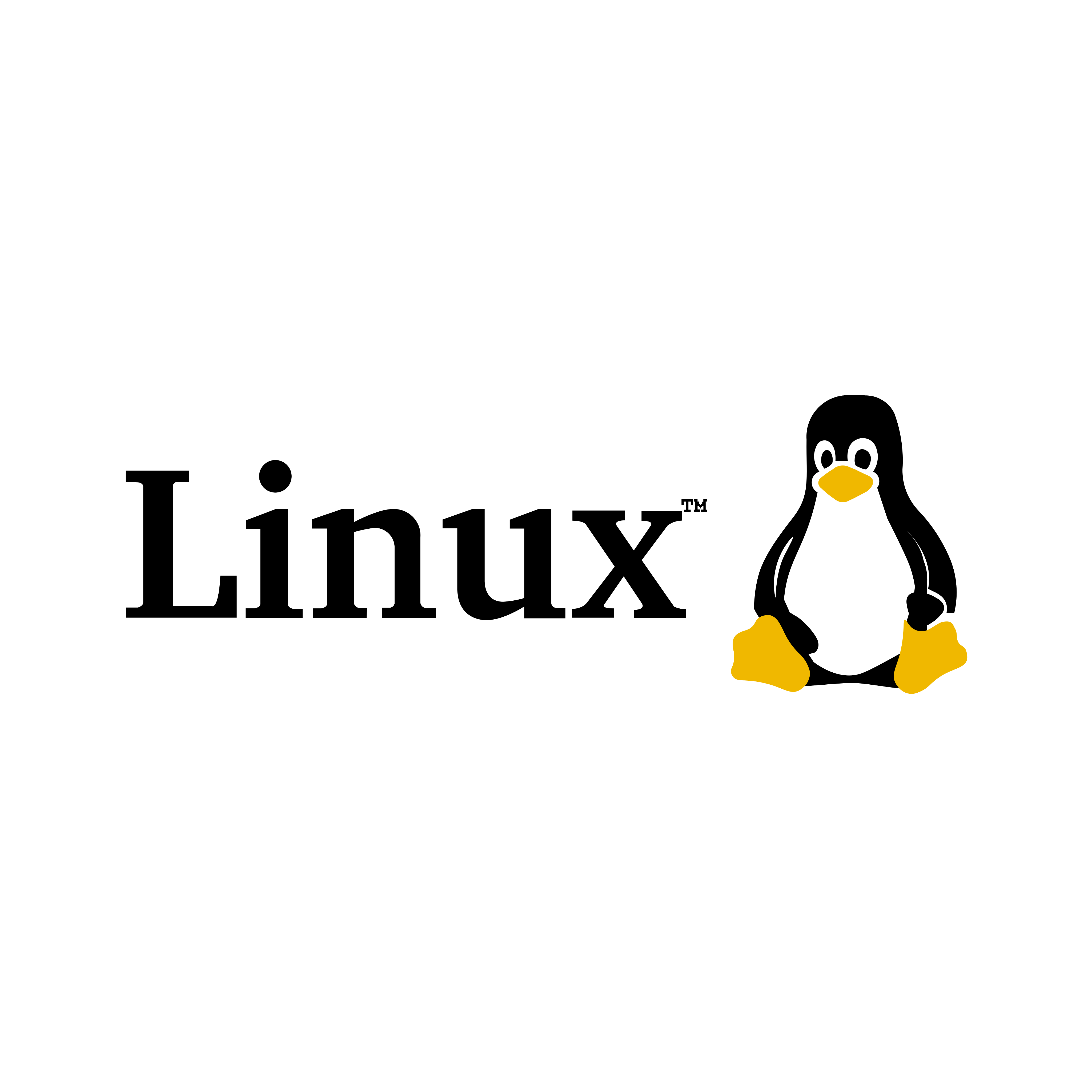 Servidores Linux